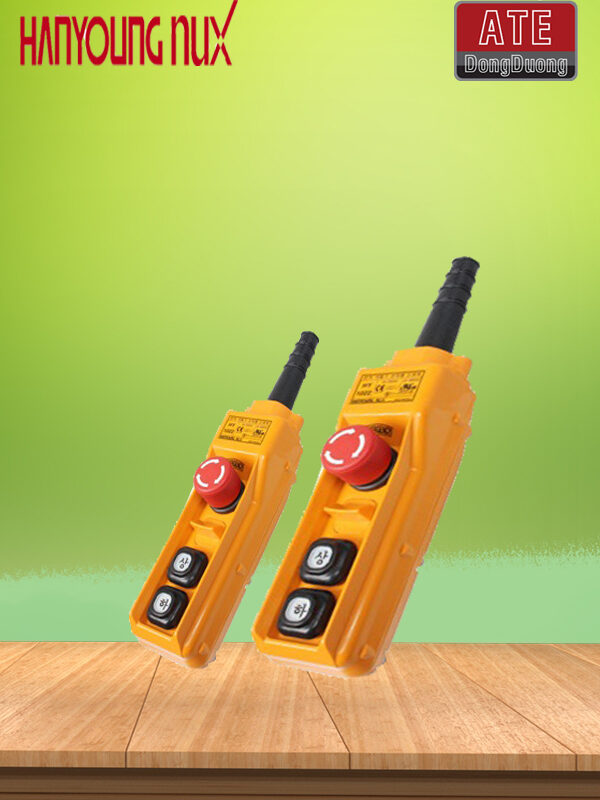 Điều khiển cầu trục HY-1022SB
